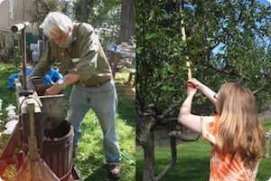 picking apples img