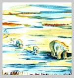 Great Bear Foundation