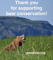 A brown bear with mouth open to appear as if it is smiling, sitting in tall grass with mountains in the background. Text reads thank you for supporting bear conservation!